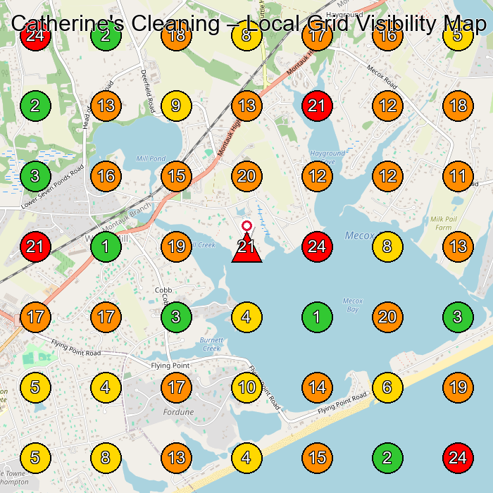 Catherine's Cleaning House Cleaning Service GeoGrid ranking map for Water Mill NY